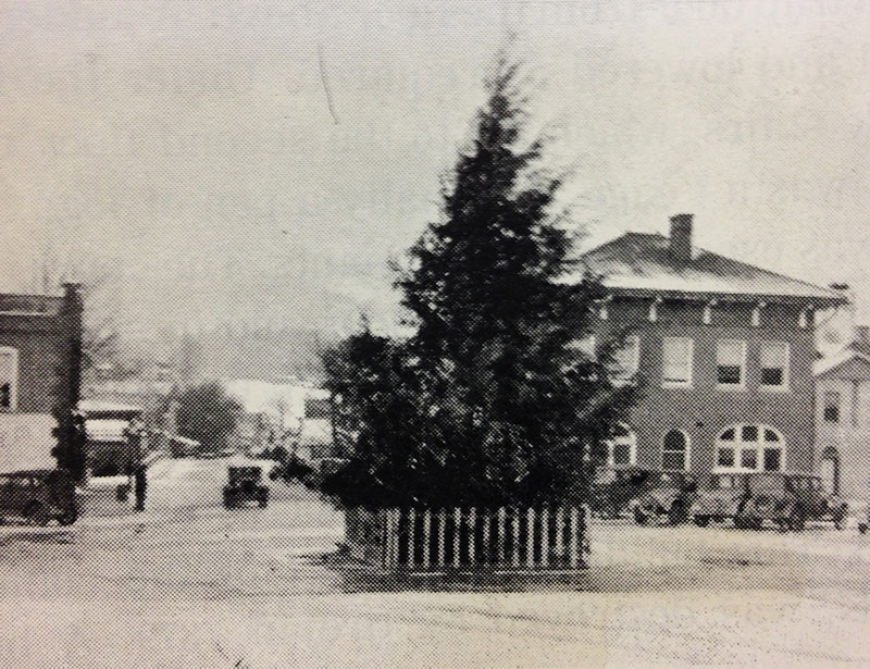 old photo of Christmas tree in middle of intersection